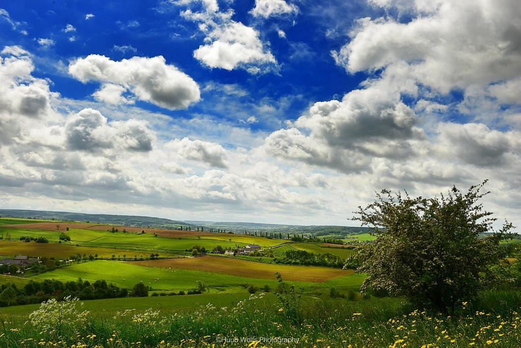הוילה סימפלוולד Enjoy Heuvelland מראה חיצוני תמונה